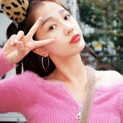 狮子护卫队第一季